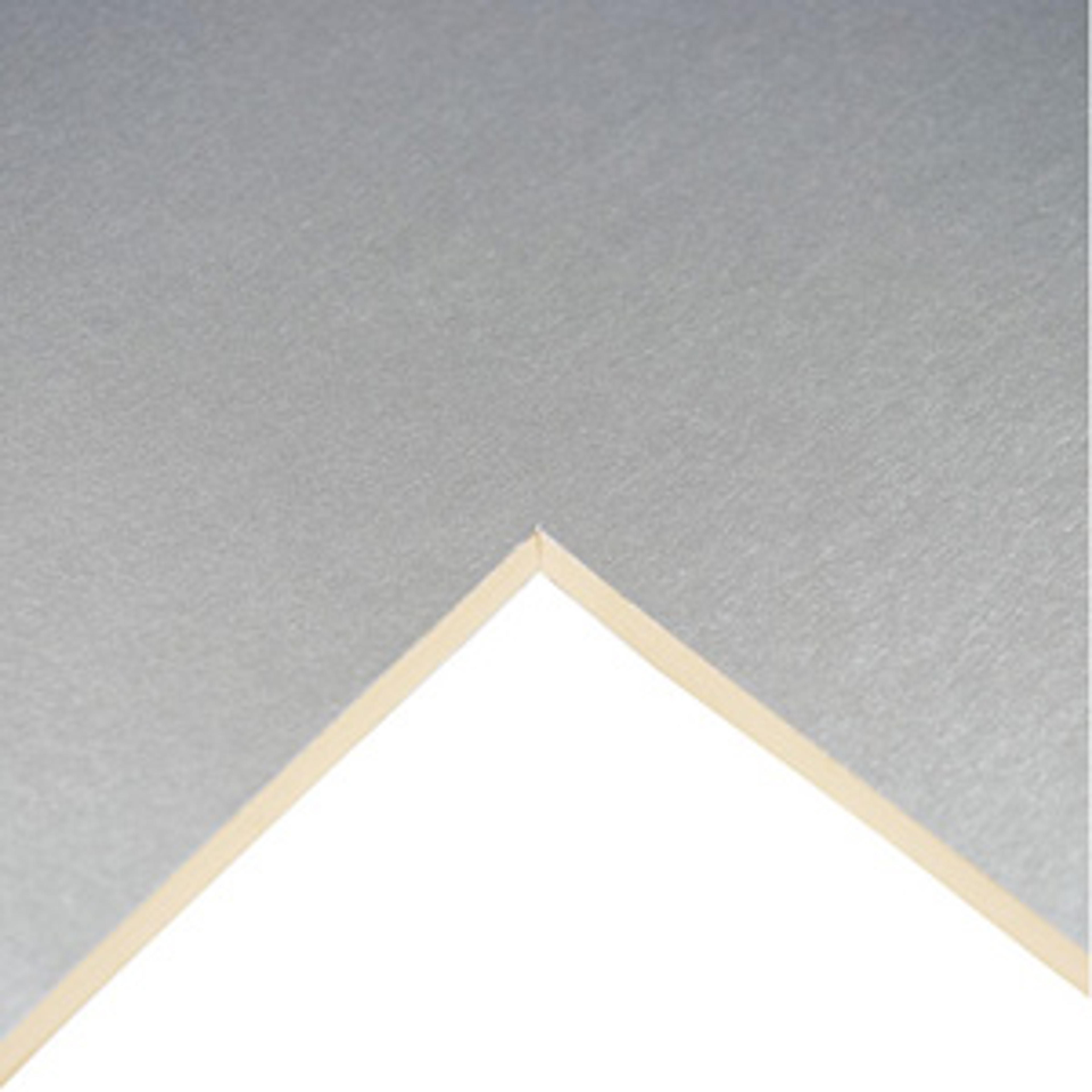 Daler-Rowney Mounting Board A1 - Silver