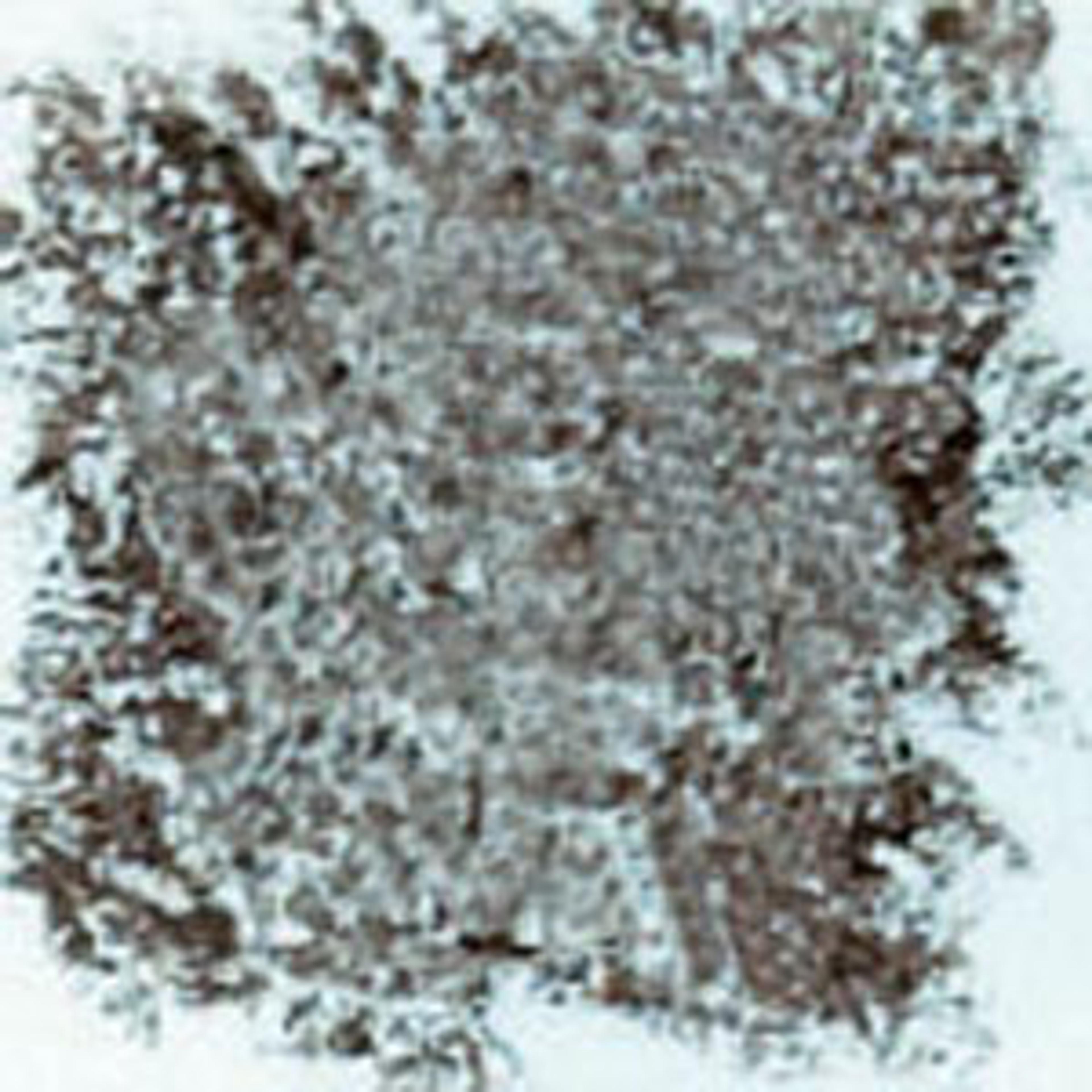 Filia Oil Pastels - Dark Brown. Pack of 12