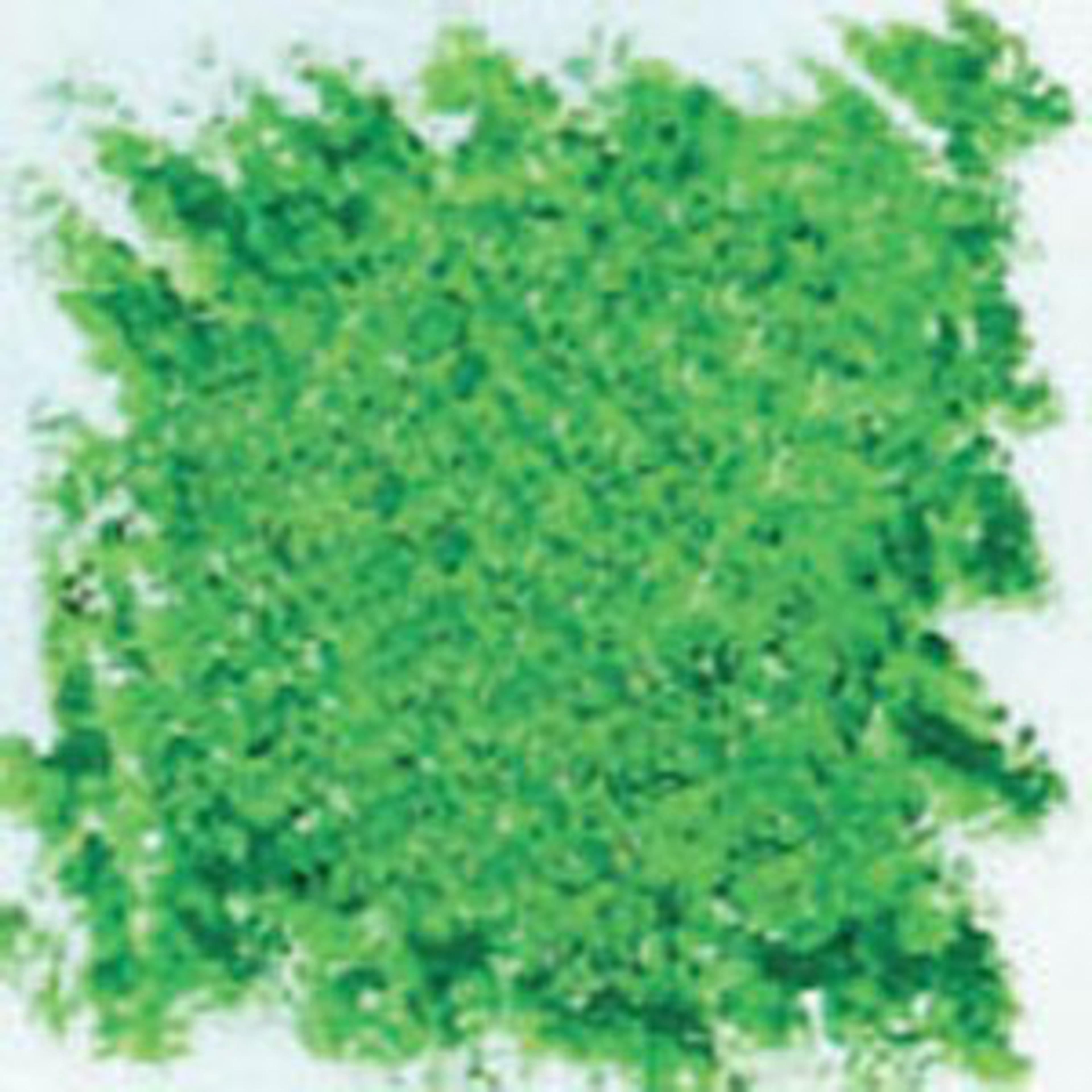Filia Oil Pastels - Medium Green. Pack of 12