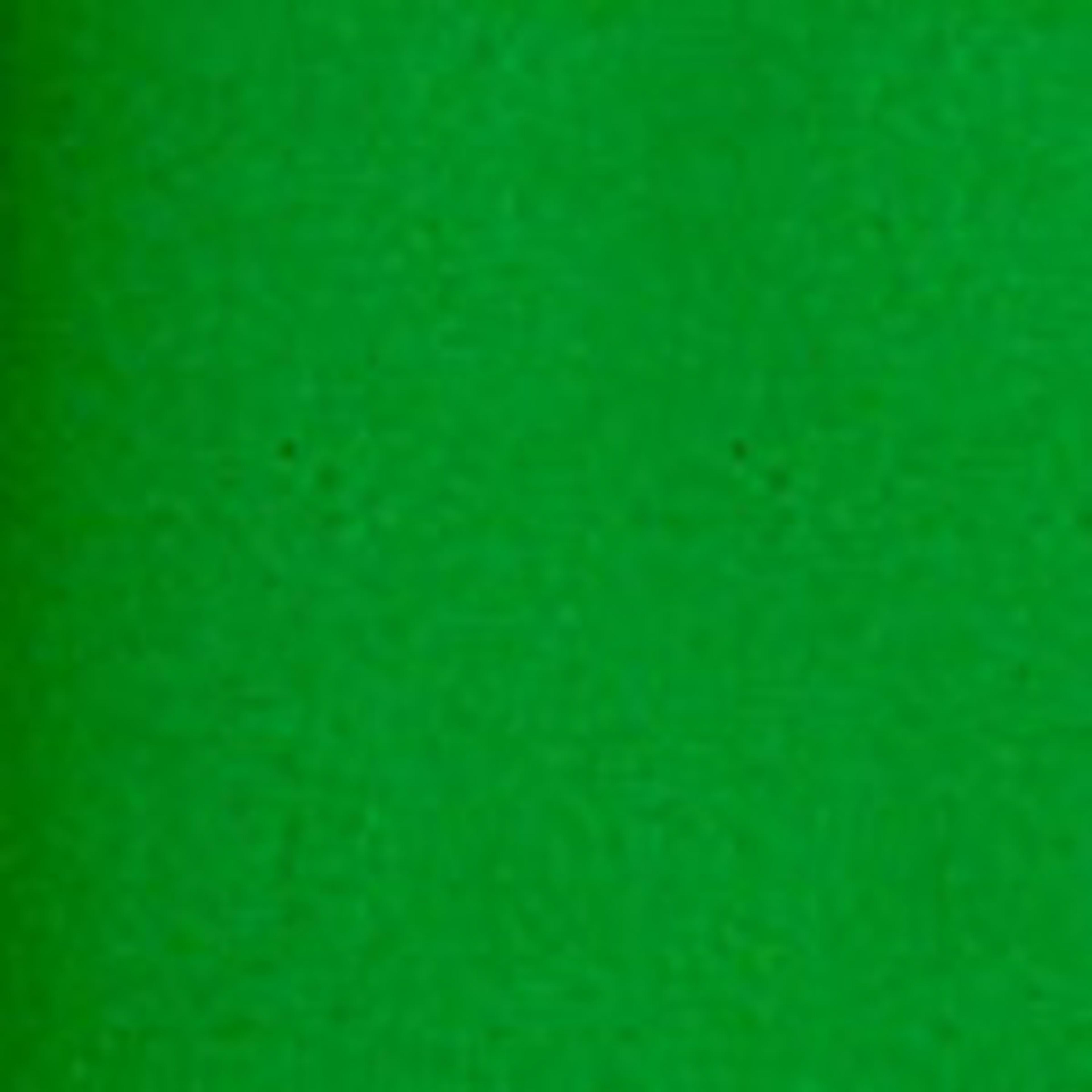 Poster Paper Roll - Leaf Green