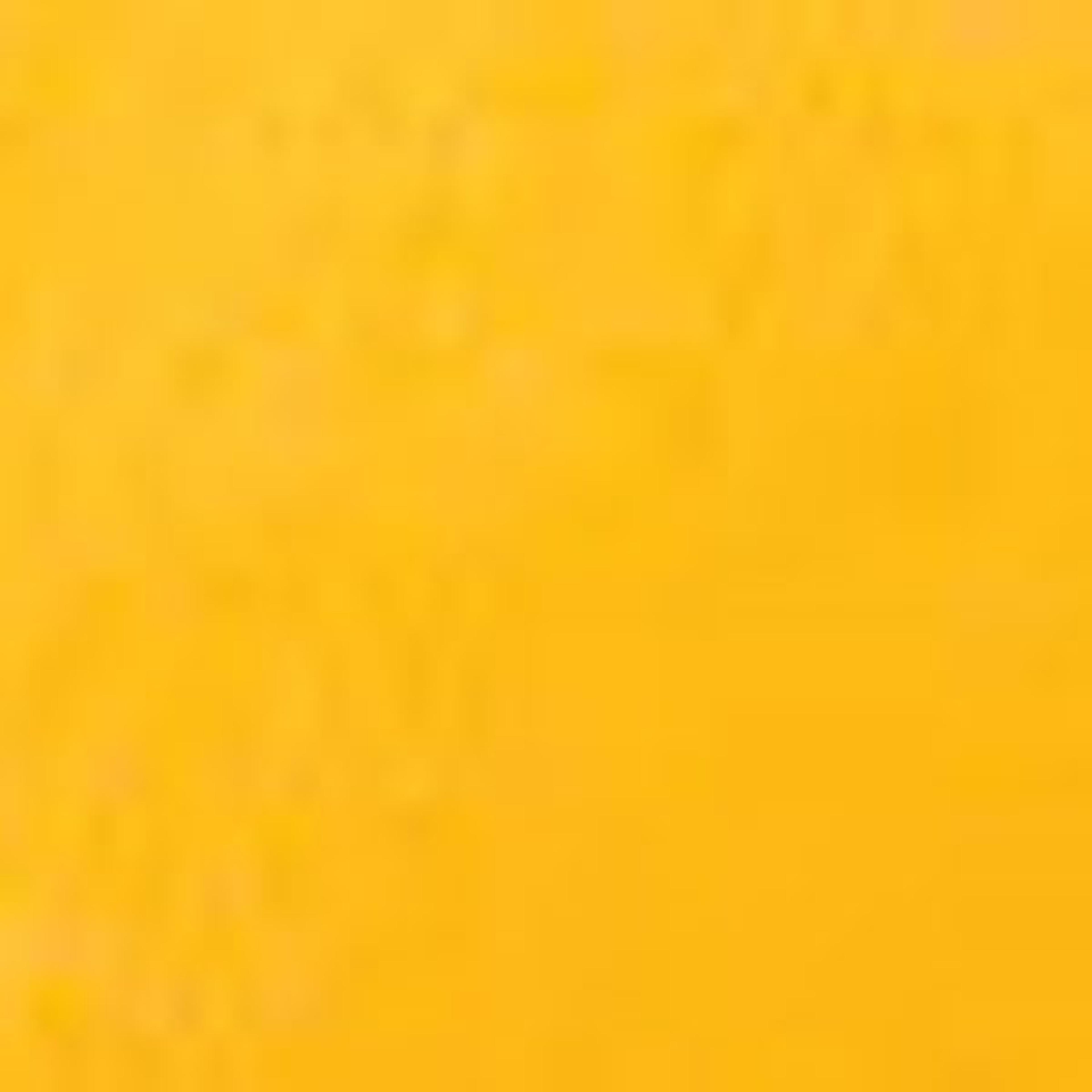 Turkey Quills - Gold. Pack of 25