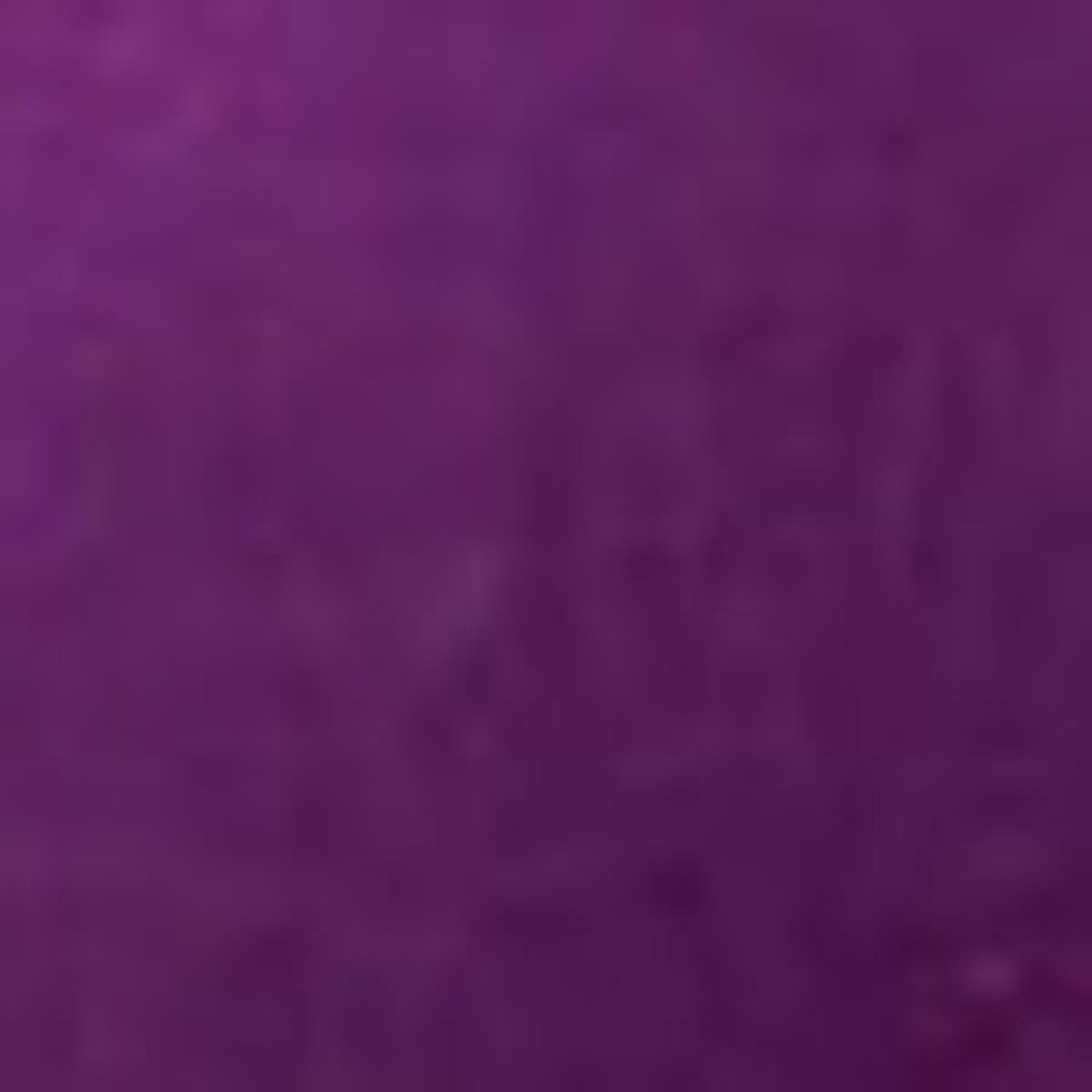 Turkey Quills - Purple. Pack of 25