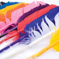 Turkey Quills - Assorted Colours. Pack of 25
