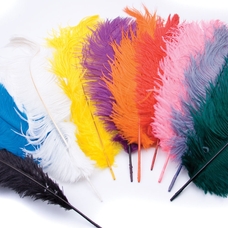 Ostrich Plumes - Assorted Colours. Pack of 10