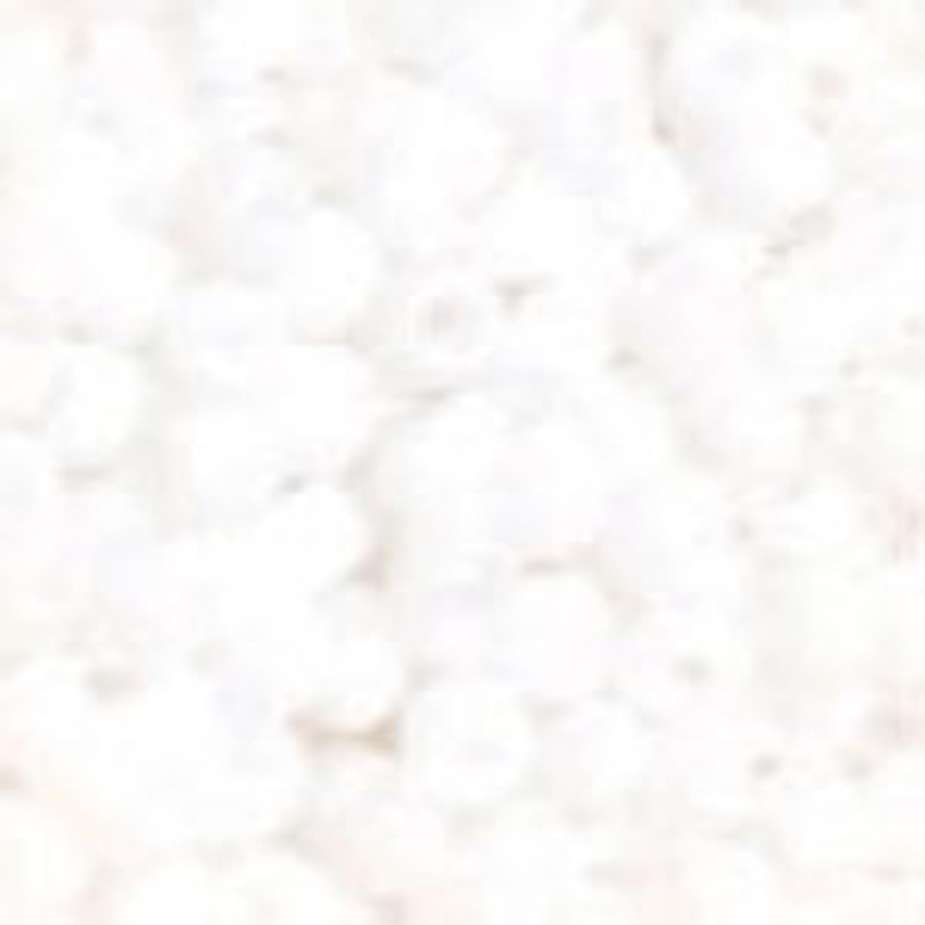 Seed Beads 50g - White