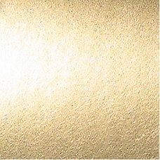 Metallic Scalloped Bordette - Gold. Pack of 2 Rolls