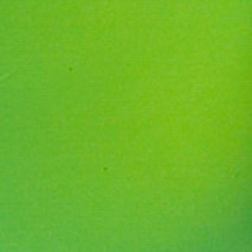 Scalloped Bordette Rolls - Nile Green. Pack of 2