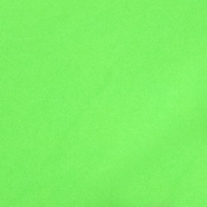 Day Glo Poster Paper - Green