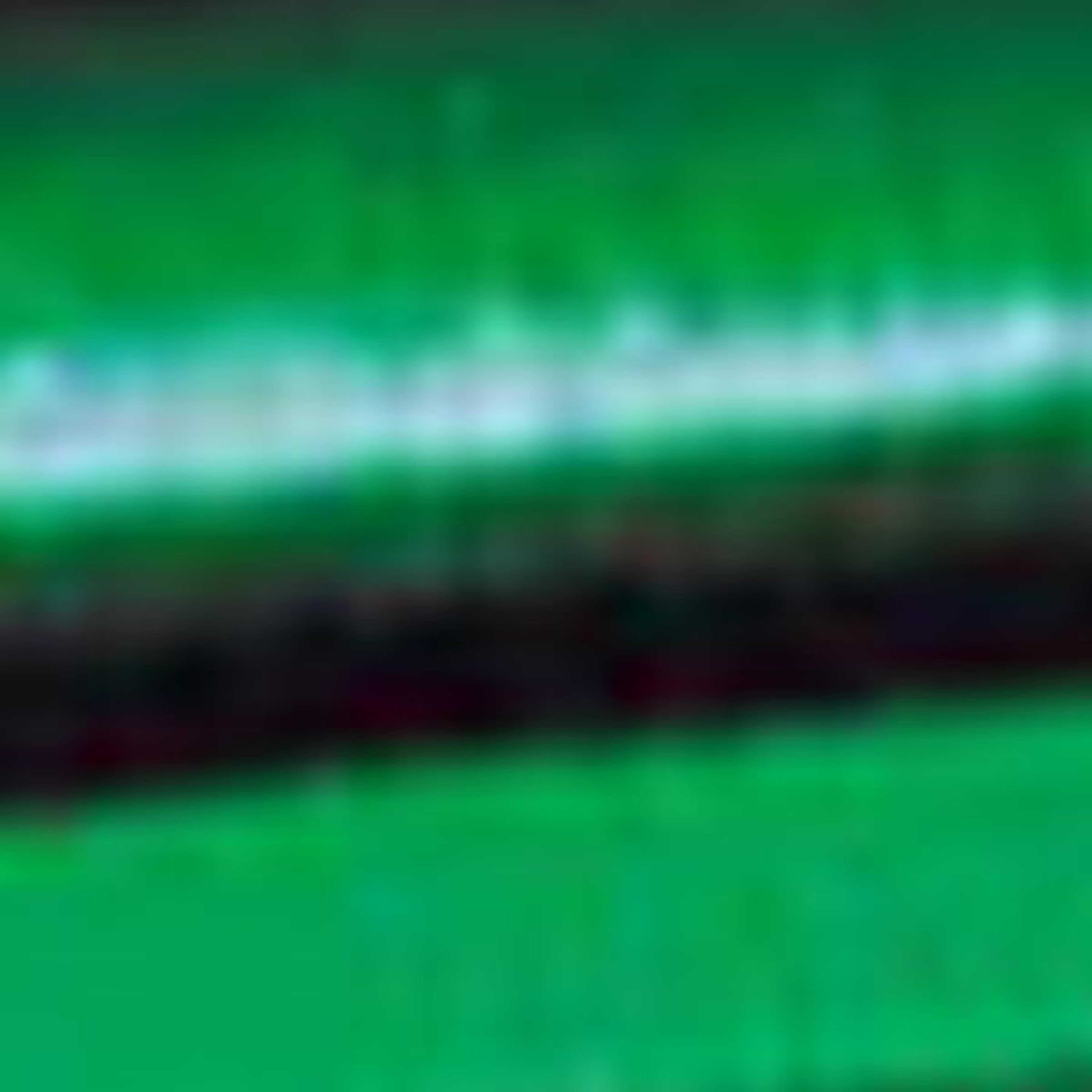 Folia Double-Sided Metallic Paper - 500mm x 10m Roll - Green