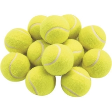 Coaching Quality Tennis Balls - Pack of 12