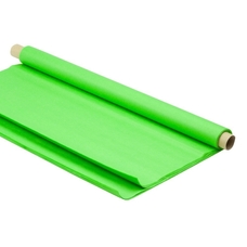 Tissue 507 x 761mm 18gsm Sheets Apple Green - Pack of 48