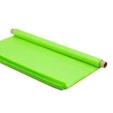 Tissue 507 x 761mm 18gsm Sheets Light Green - Pack of 48