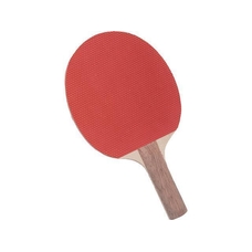 Pimpled Out Table Tennis Bat