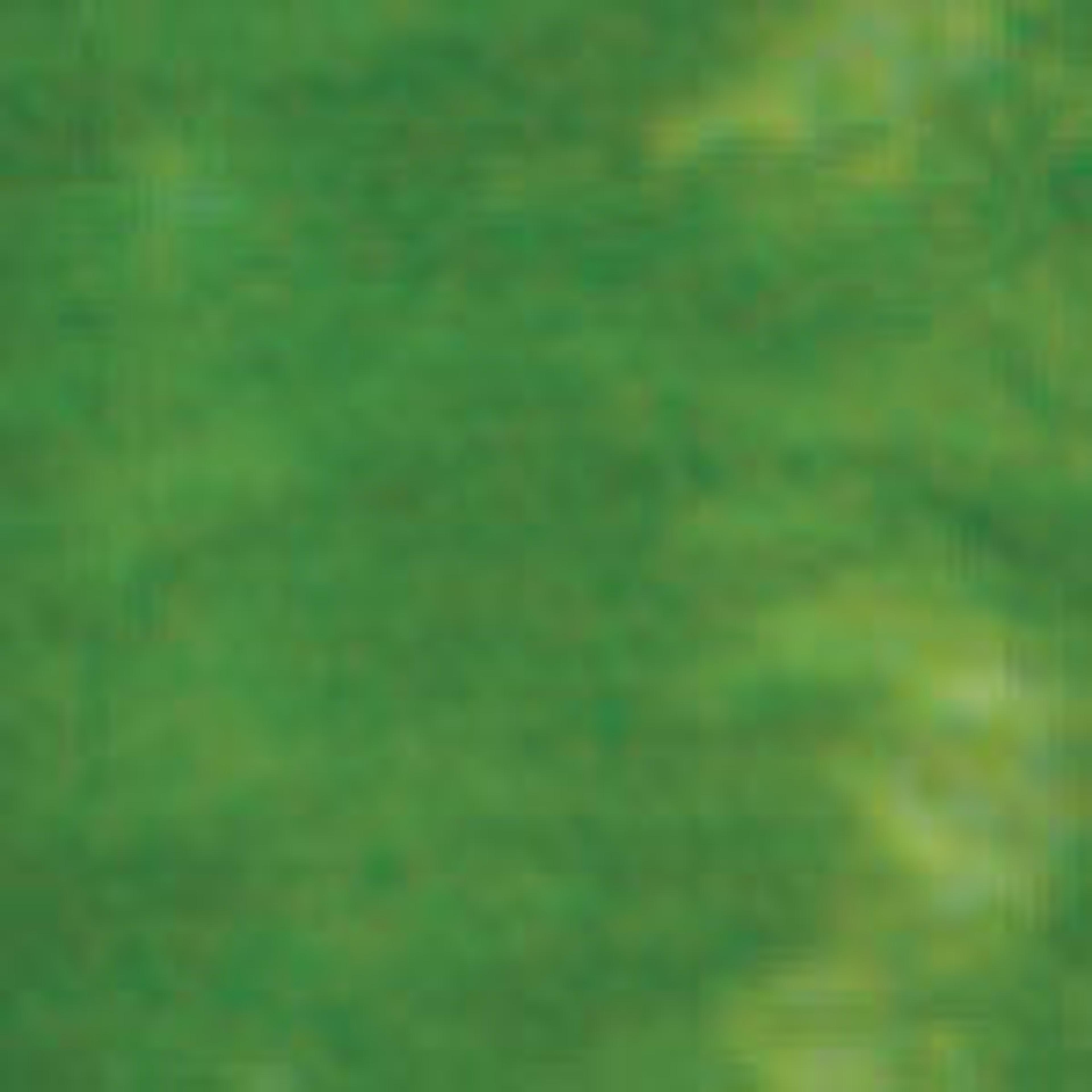 Synthetic Raffia - Green