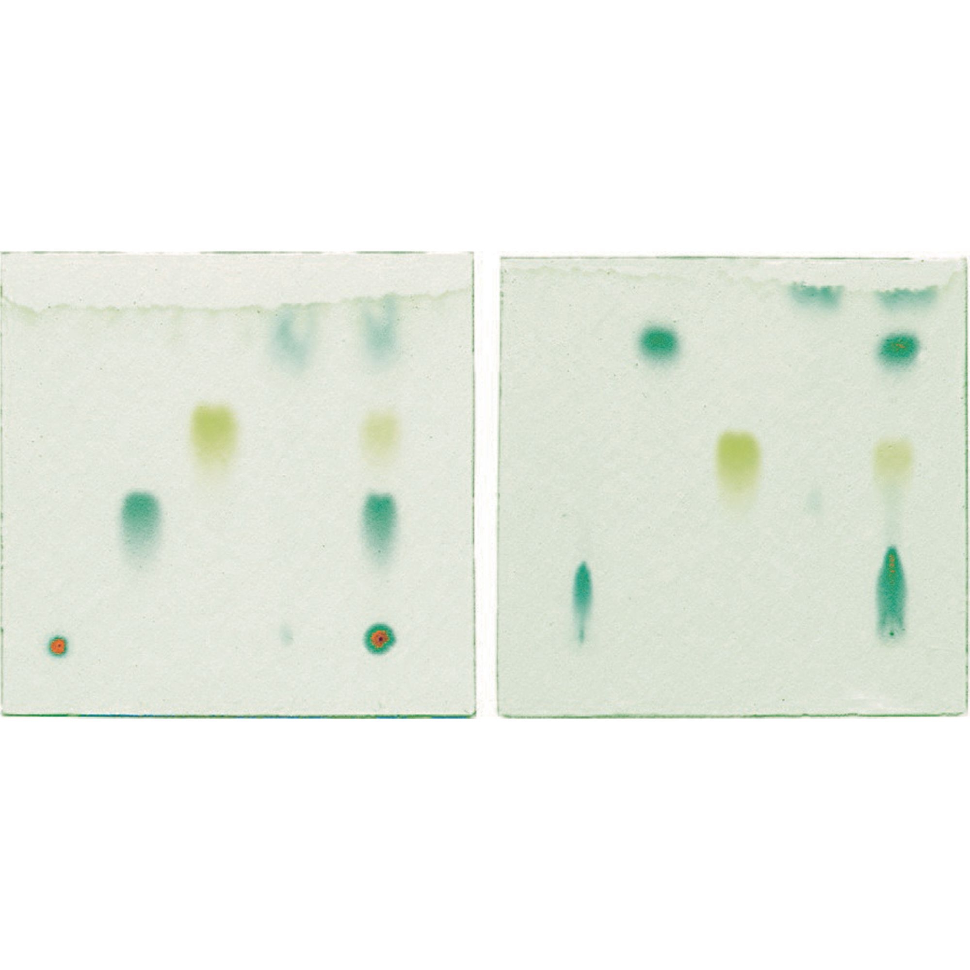 Thin Layer Chromatography