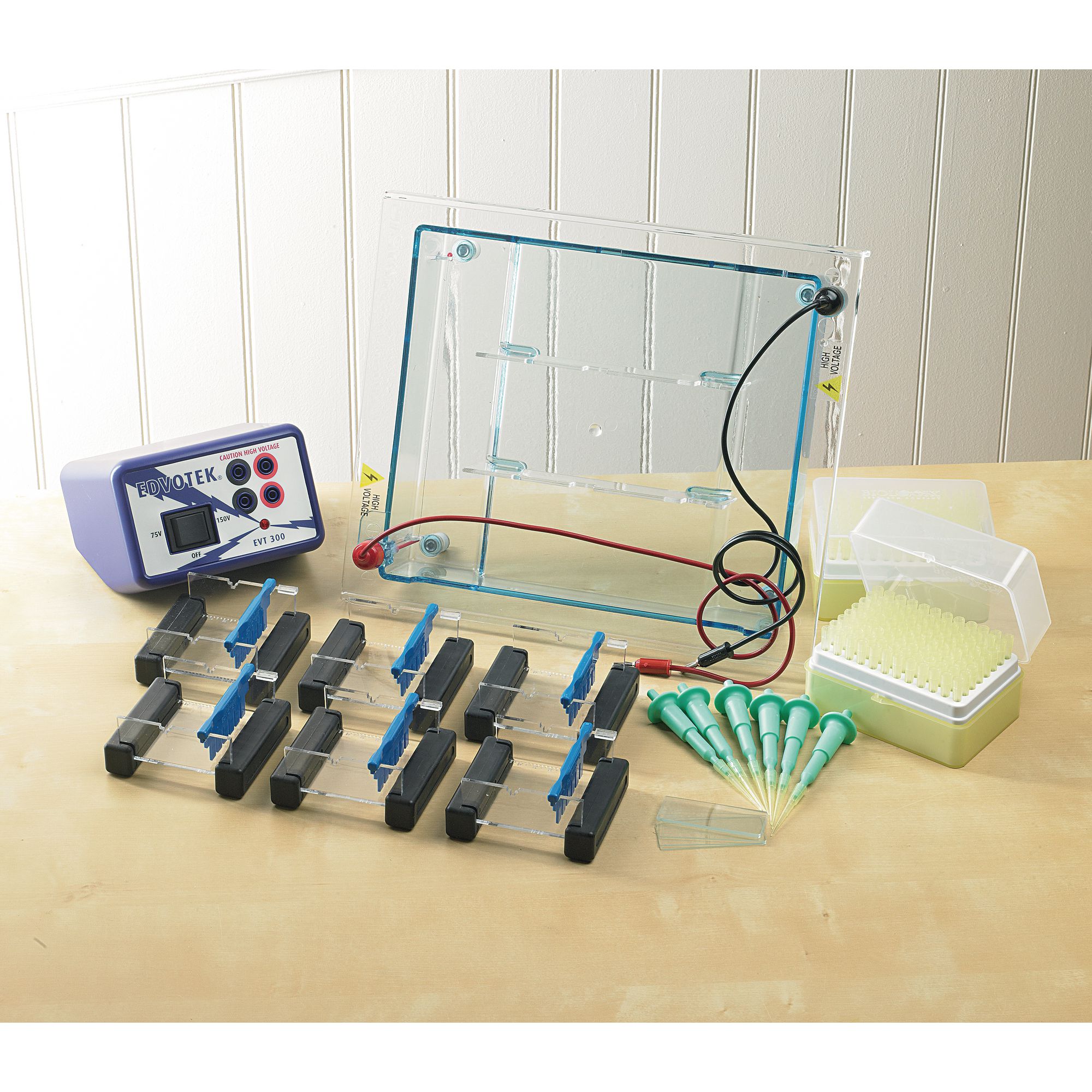 DNA Electrophoresis Class Kit B8R03273 Philip Harris