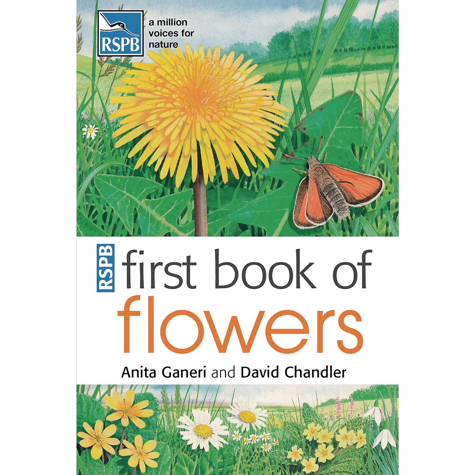 First Book of Flowers - Each