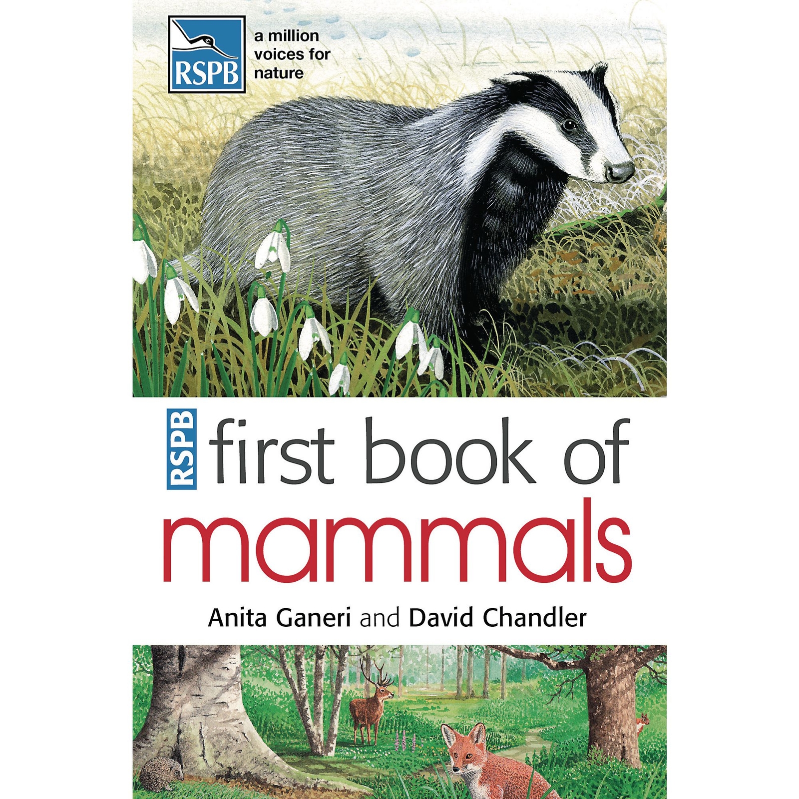 First Book of Mammals - Each