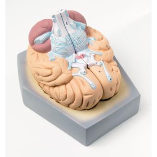 Product Image Front