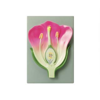 Product Image Front