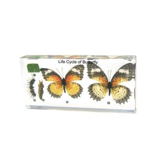 Product Image Front