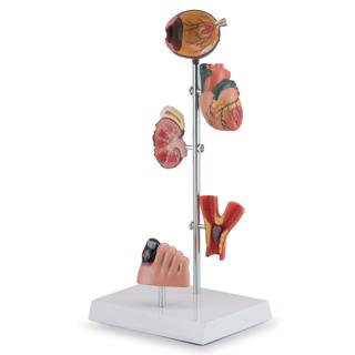 Product Image Front