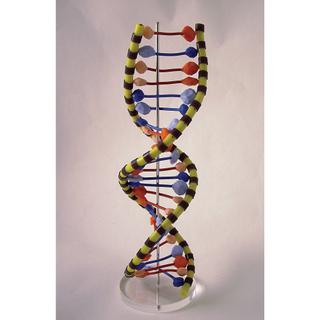 Product Image Front