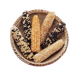 Product Image Front
