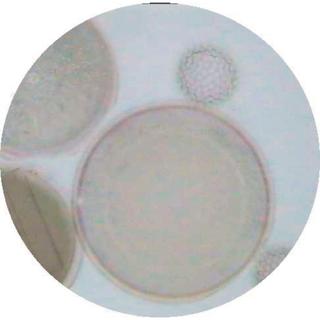 Product Image Front