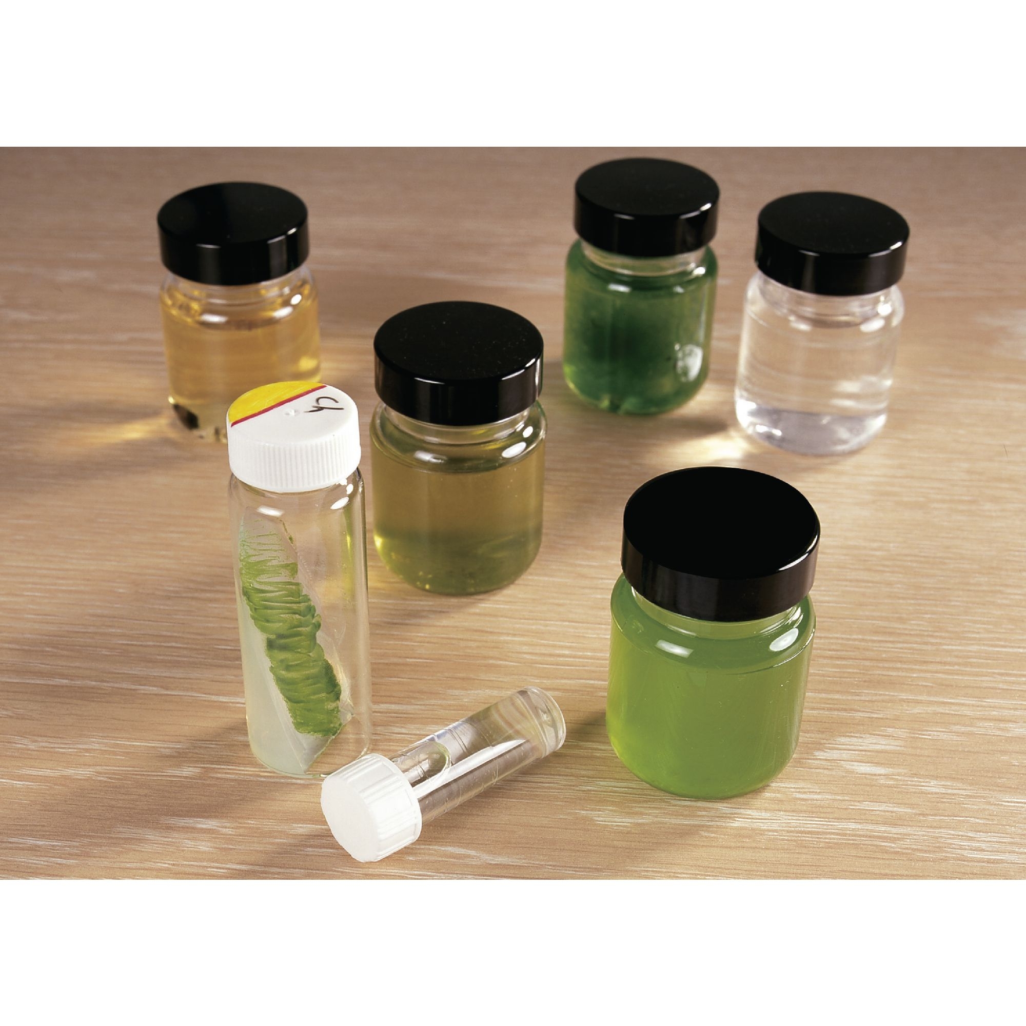 Pseudomonas Fluorescens Culture