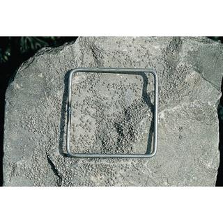 Product Image Front
