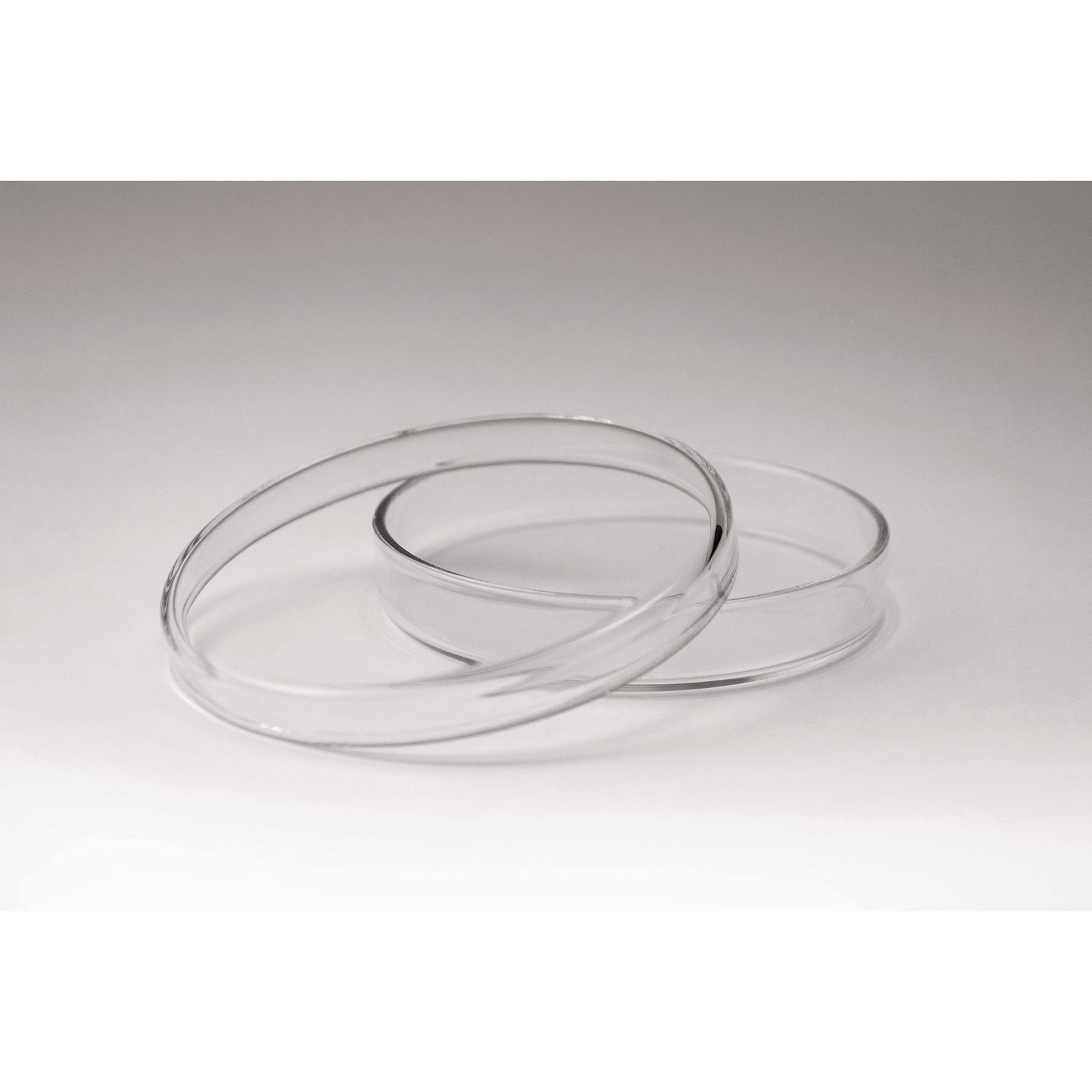 Glass Petri Dishes - 90mm x 15mm
