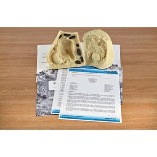 Product Image Front