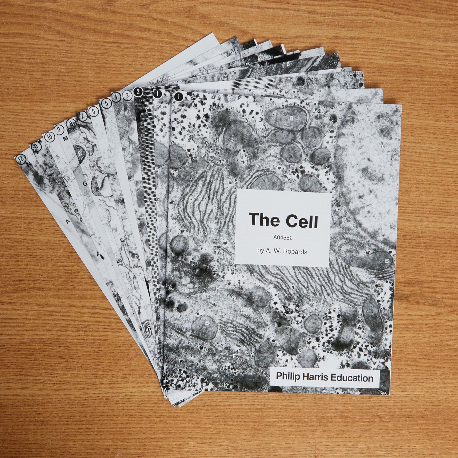 Cell Print Set