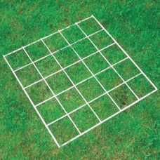 Grid Quadrat 25 squares - Pack of 5