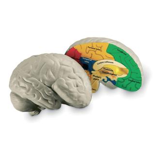 Product Image Front