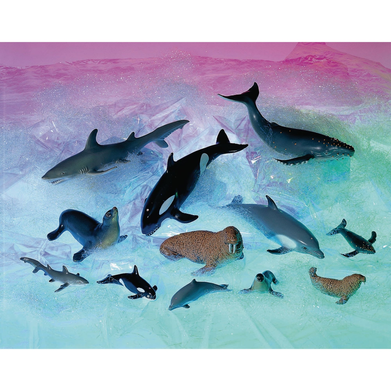 Ocean World Animals and Their Young