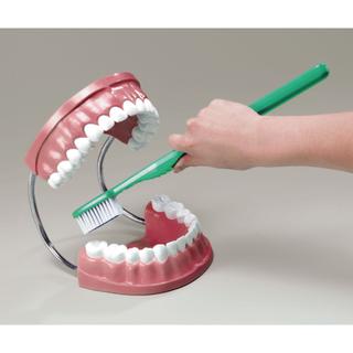 Product Image Front