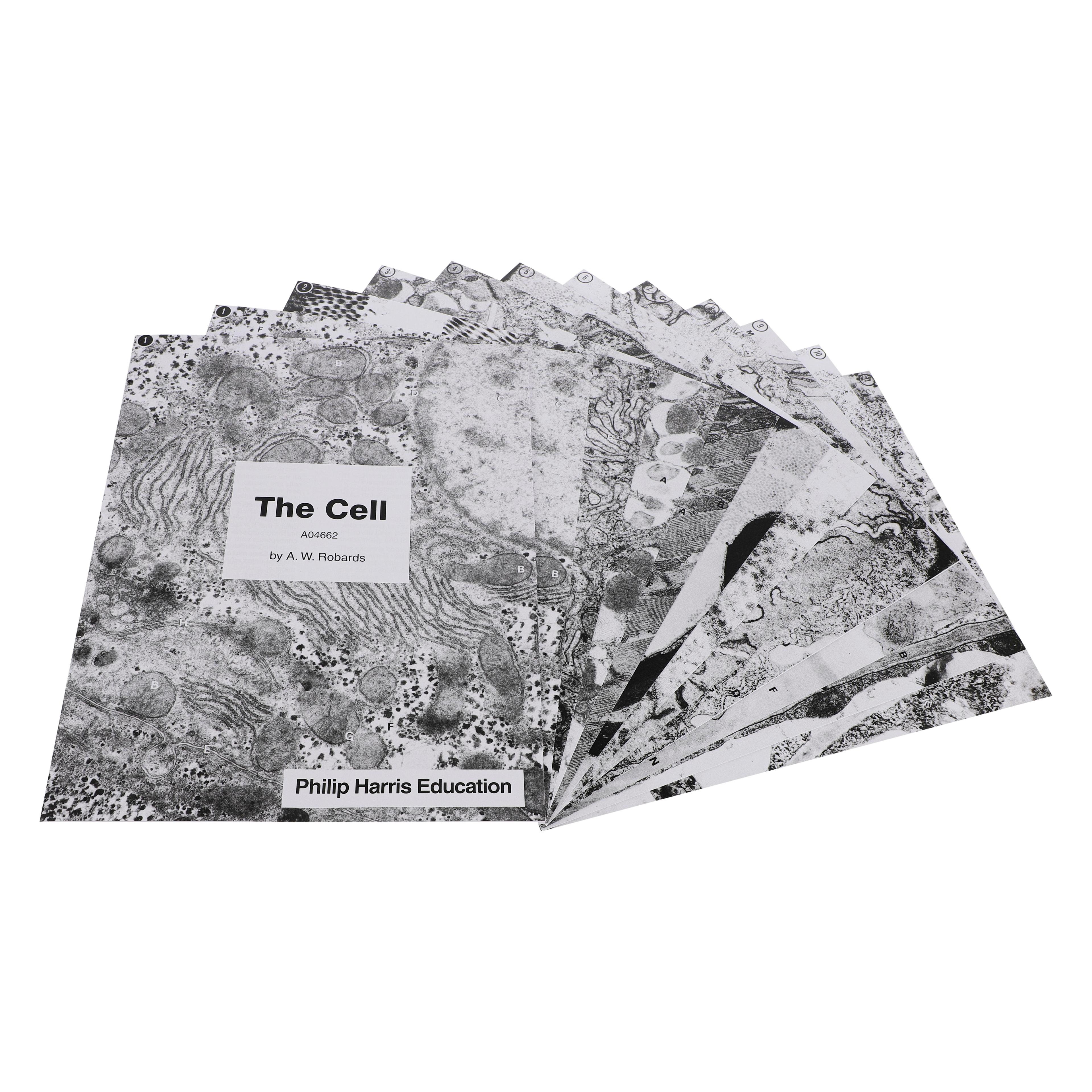 Philip Harris Cell Print Set