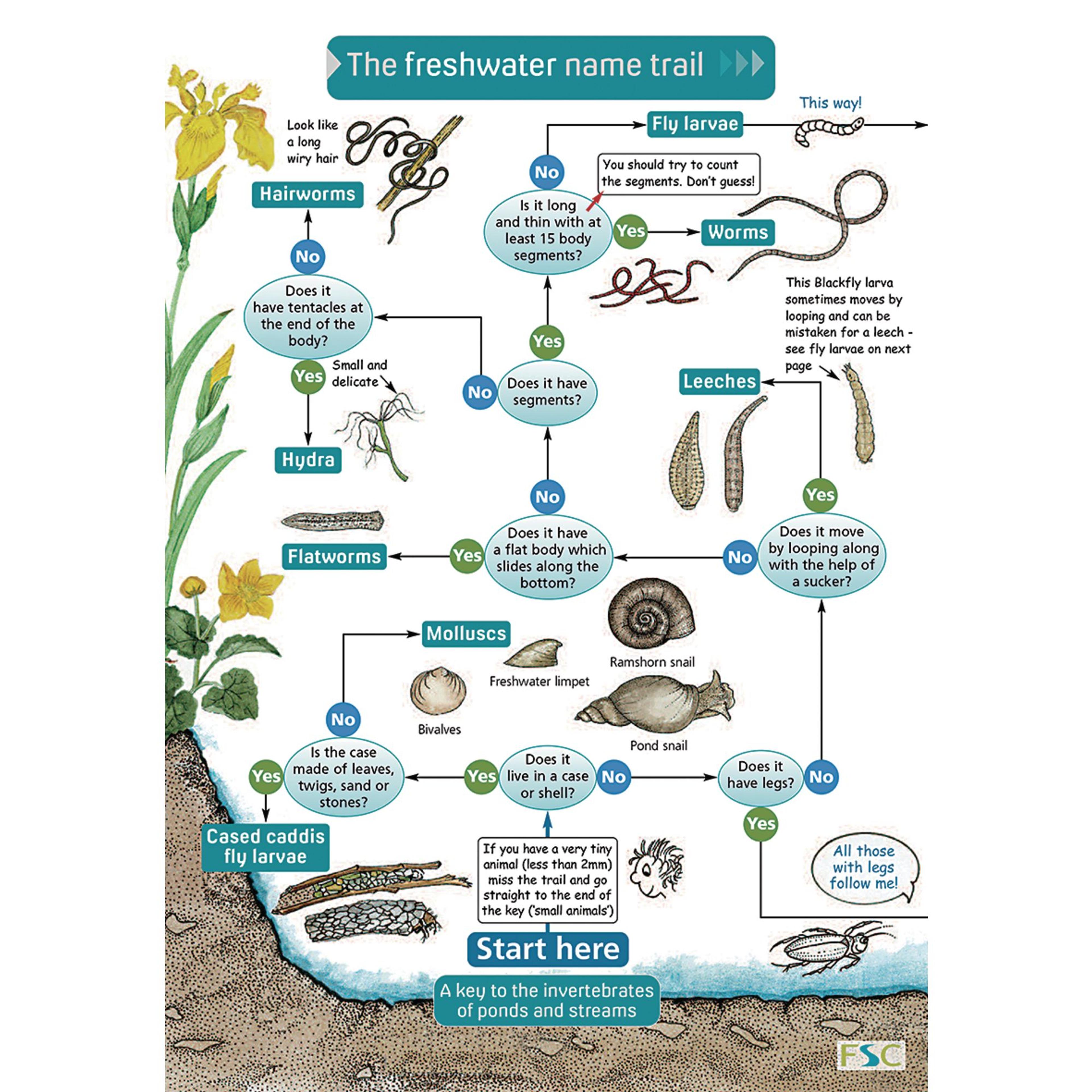 Field Studies Council Name Trail - Fresh Water Invertebrates
