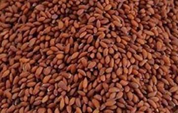 Cress Seeds