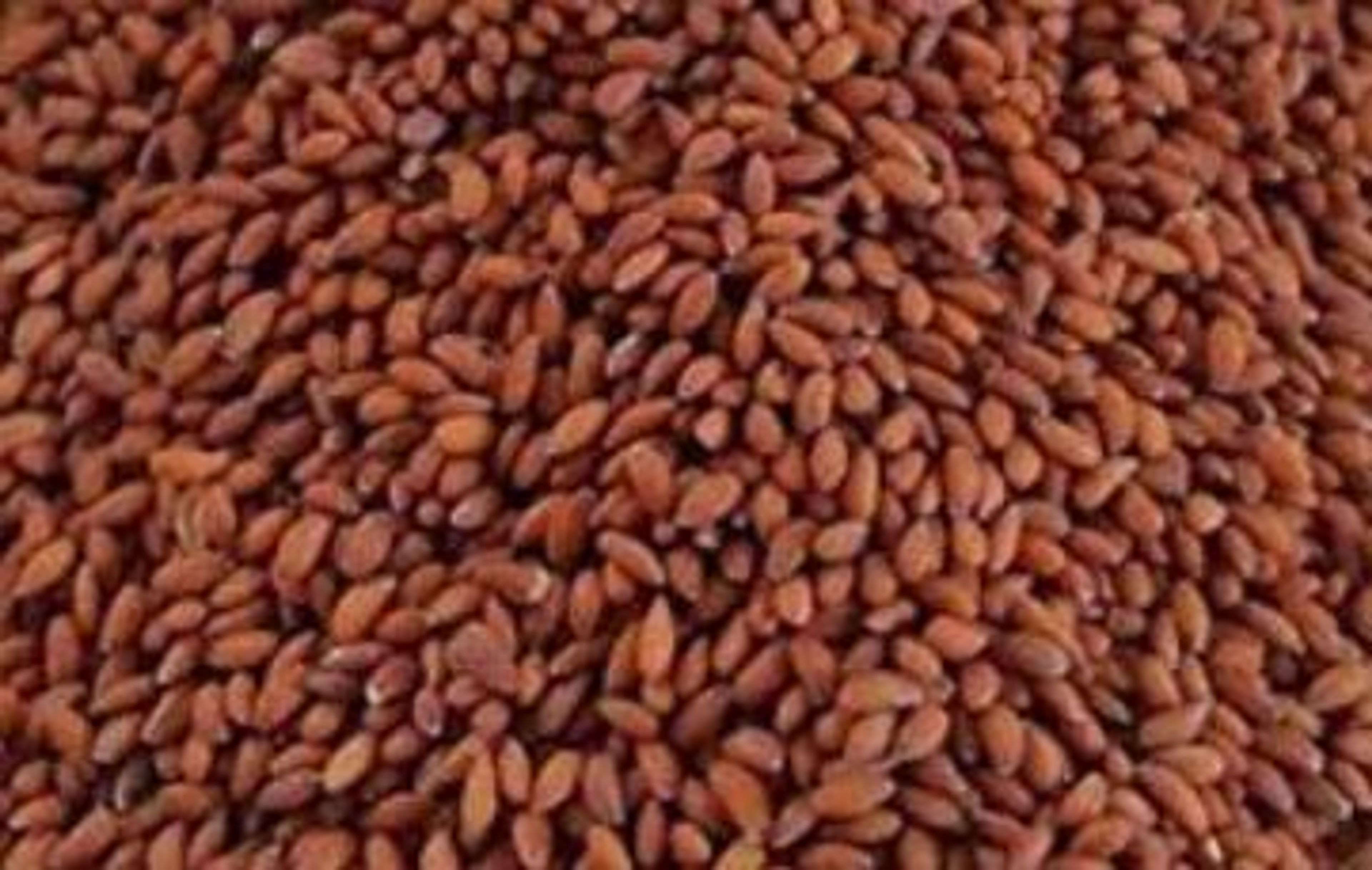 Laboratory Grade Seeds, Cress - 100g 