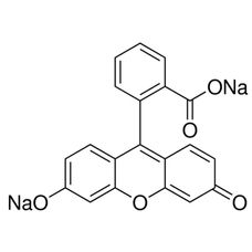 Fluorescein - 5g