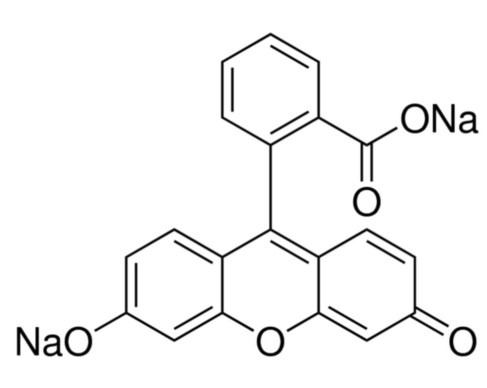 Fluorescein 50g
