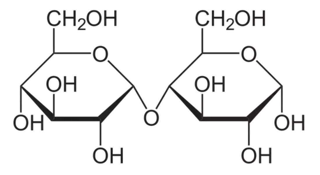 Maltose 25g