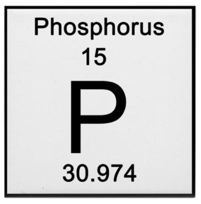 Phosphorus Red 25g