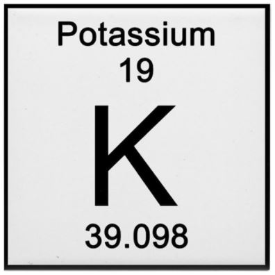 Potassium Metal 10g