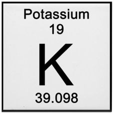 Potassium Metal - 10g