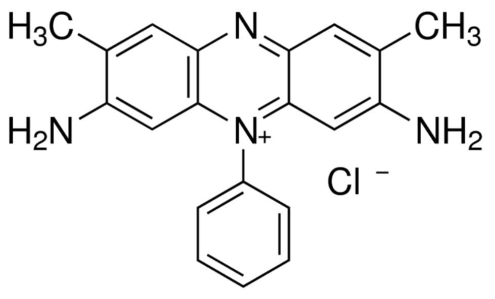 Safranin 1% Aqueous 100ml