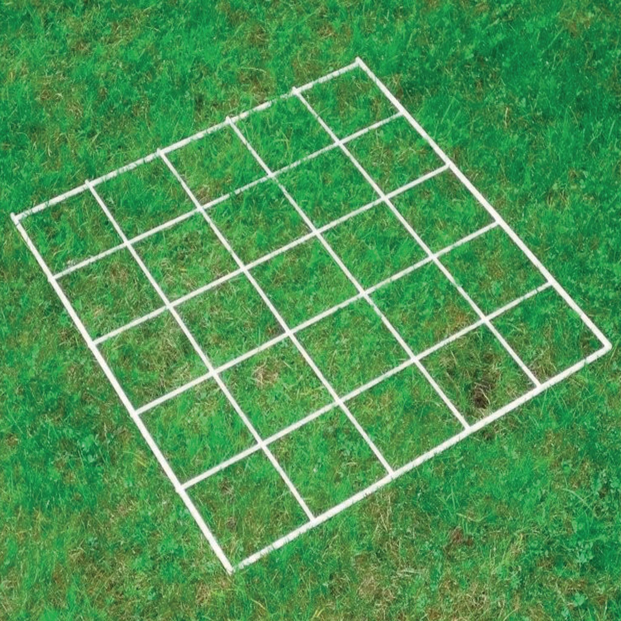 Quadrat Grid - 500x500mm - 25 Squares | HC1008491 | Findel Dryad